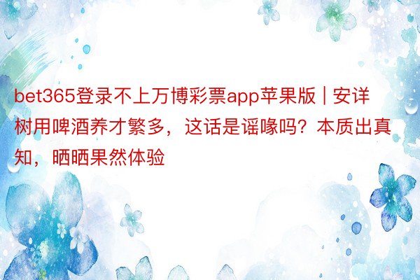 bet365登录不上万博彩票app苹果版 | 安详树用啤酒养才繁多，这话是谣喙吗？本质出真知，晒晒果然体验